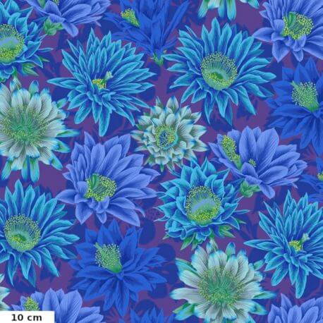Tissu patchwork Philip Jacobs Fleur de Cactus PJ096 bleu violet