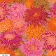 Tissu Philip Jacobs chrysanthèmes japonais PJ41 rose