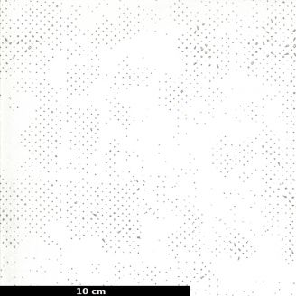 Tissu patchwork écru moucheté - Spotted de Zen Chic
