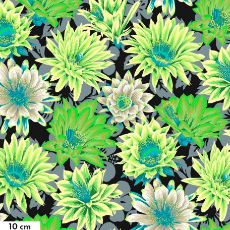 Tissu patchwork Philip Jacobs Fleur de Cactus PJ096 noir et vert
