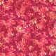 Tissu batik branchages rouge framboise