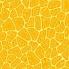 Tissu patchwork aborigène craquelures jaune - Pannotia