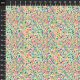 Tissu patchwork Ecru ciel étoilé multicolore -Celeste de Sally Kelly