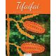 Le Tifaifai, jouer avec une technique polynésienne - Dijanne Cevaal