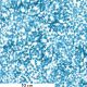 Tissu patchwork blanc buisson bleu - Bluebell de Janet Clare