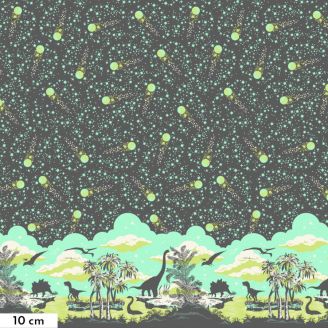 Tissu patchwork pluie de météores "Meteors showers" gris - Roar de Tula Pink