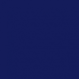 Teinture Procion MX 079 Bleu Nuit